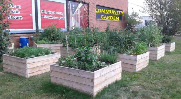 Community Garden Edmonton, AB